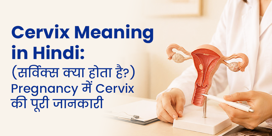 Cervix Meaning in Hindi: (सर्विक्स क्या होता है?) Pregnancy में Cervix की पूरी जानकारी